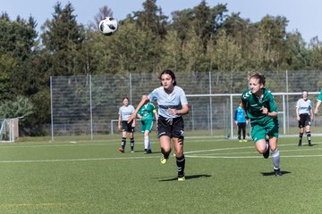 Bild 40 - wBJ FSG Kaltenkirchen - MSG Siebenbaeumen-Krummesse : Ergebnis: 2:5